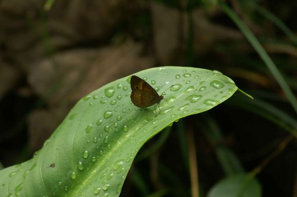 PICT0085.jpg