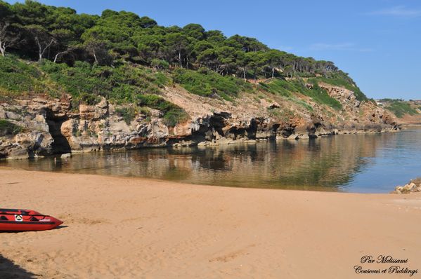 plage alger