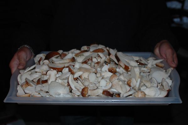 Champignons-et-divers 6732