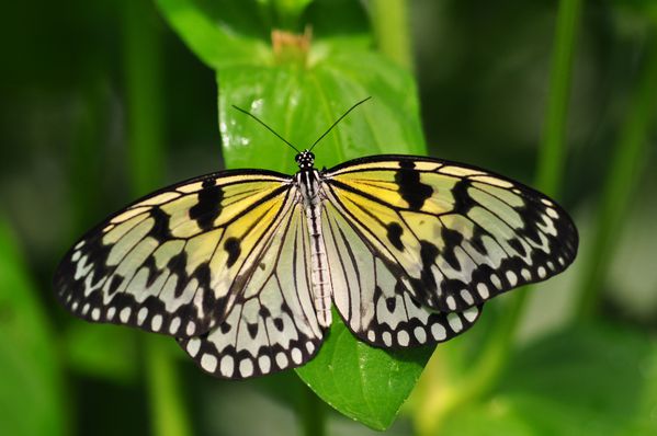 DSC_0283.JPG
