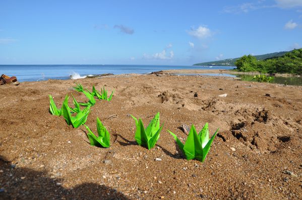 Guadeloupe-0308.JPG