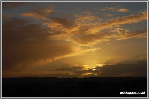 Copie-de-DSC_0002--5-.JPG