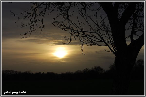 Copie-de-DSC_0022--4-.JPG