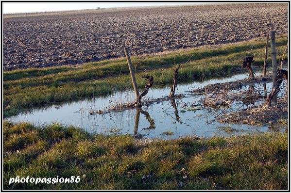 Copie-de-DSC_0072.JPG