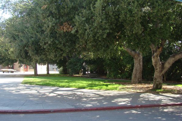 2906-LA06172.jpg