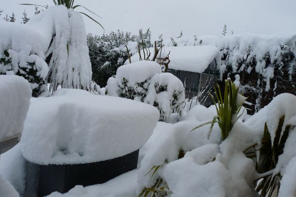 neige mars 2013 (33)