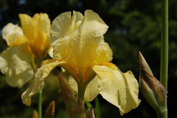 Nature-et-jardin-25 0170