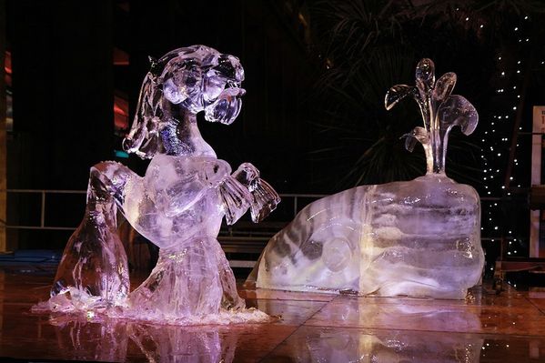 2011 12 28 Sculpture sur glace Animal Marin 019 DxO jyc-Bor