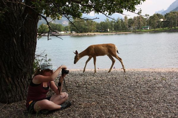 Waterton Lakes National Park