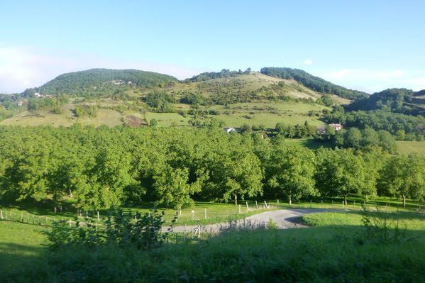 P1010578.JPG