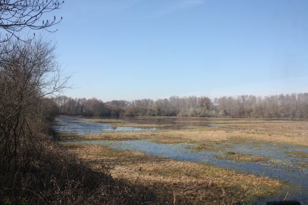 4658-La-reserve-naturelle-de-Bruges.jpg