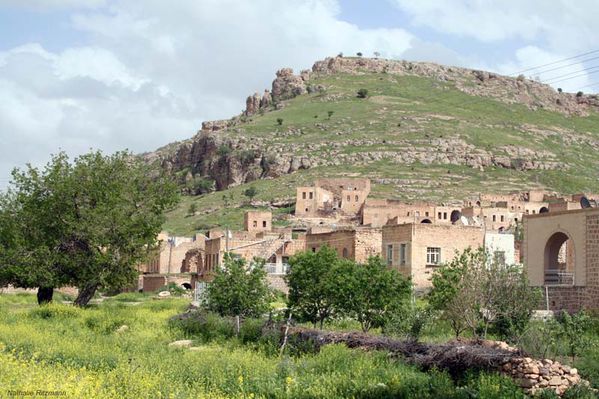 sud-est 952 copy
