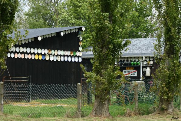deco1.jpg