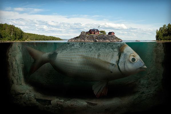 28-manipulations-photographiques-brillantes-qui-vous-feront.jpg
