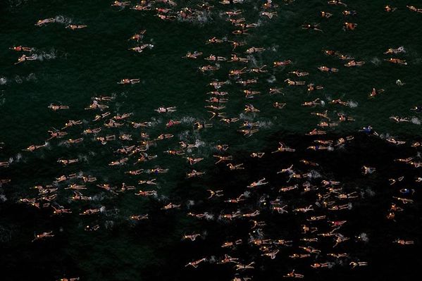 Ce ne sont pas des poissons