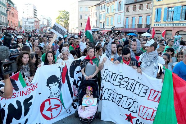 Manifestation Pro-Palestinienne Toulouse 2014 (138)