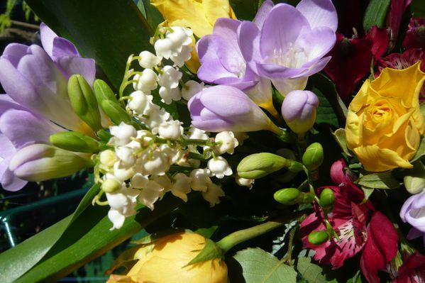 P1000043.JPG