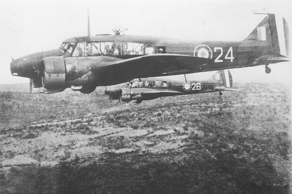 Photo-1-800px-French Avro Anson Niger 1949