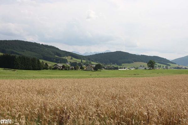 Vercors-aout-2010-009.jpg