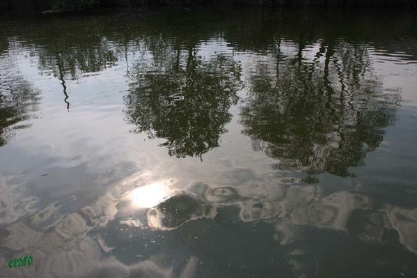 recueil--46-0621.jpg