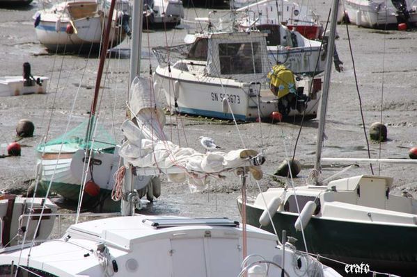 Voyage-Nantes-septembre-2010-362.jpg
