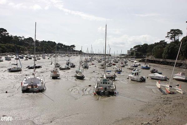 Voyage-Nantes-septembre-2010-363.jpg
