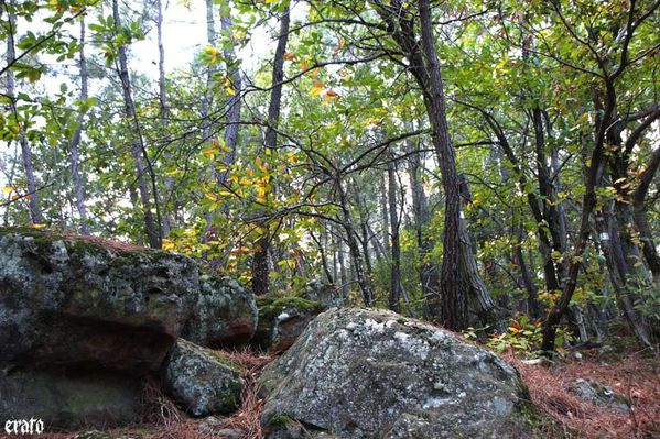 chataigneraie-059.jpg