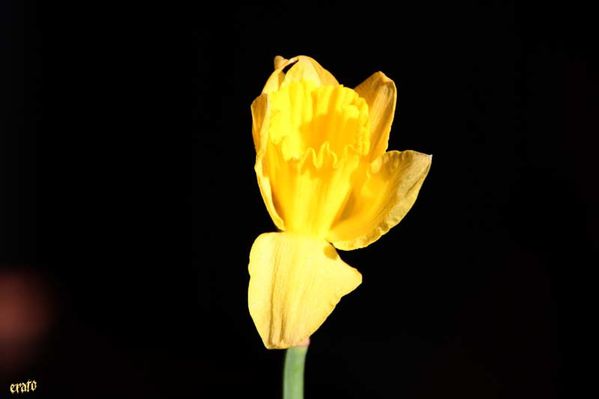 recueil-44-8838.jpg