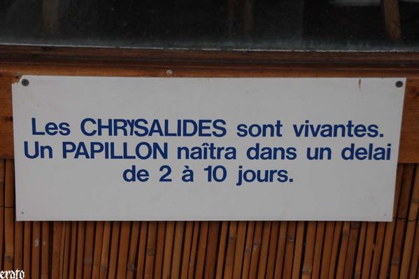 recueil-50-1496.jpg