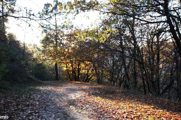 promenade-Pierre-Plantee-032-copie-1.jpg