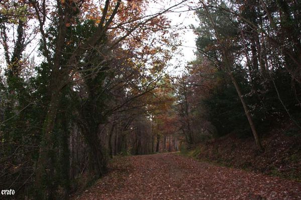 promenade-Pierre-Plantee-067.jpg