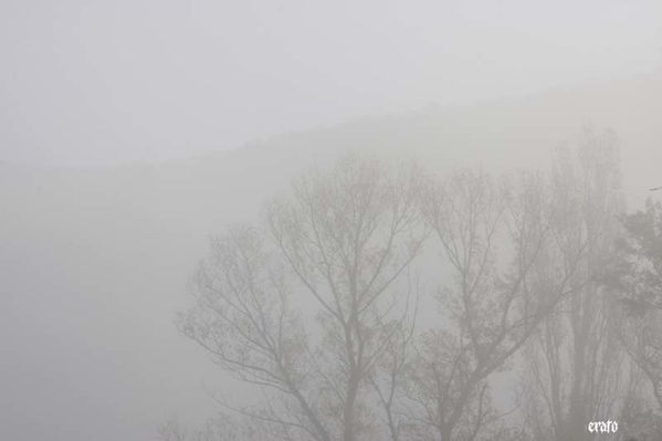 brouillard-toiles-araignees-034.jpg
