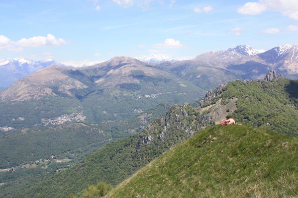 2010.05.23-Monte-Boglia-alpe-Bolla 3820