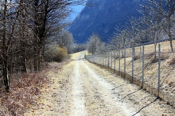 2011.02.06-Airolo-Lavorgo 8859