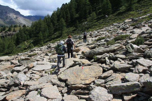 2011.07.27-Alp-e-lac-de-Loie 0781