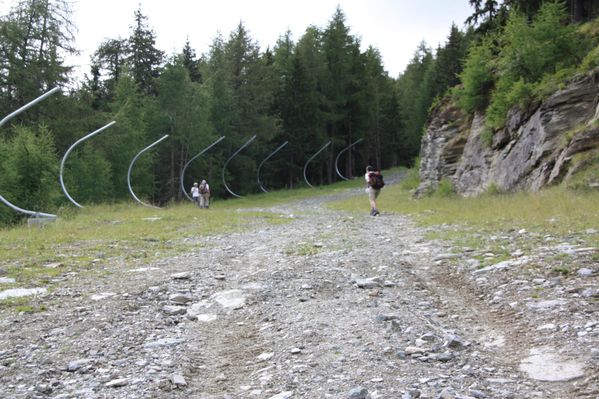 2011.07.28-Sentiero-naturalistico-Montseuc 0868