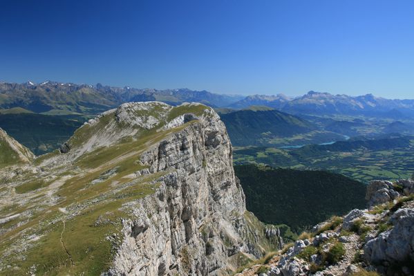 110828 Grande Moucherolle 055