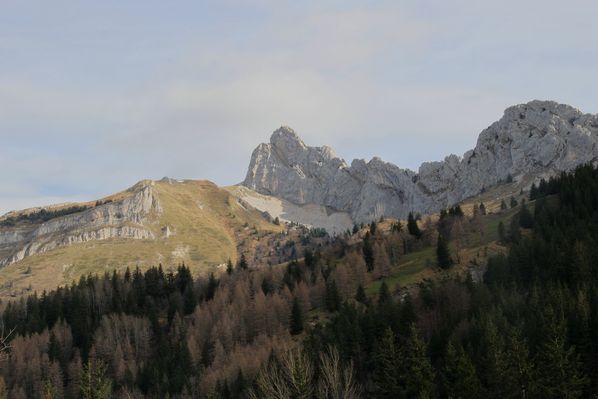 121124 Col Vert 004