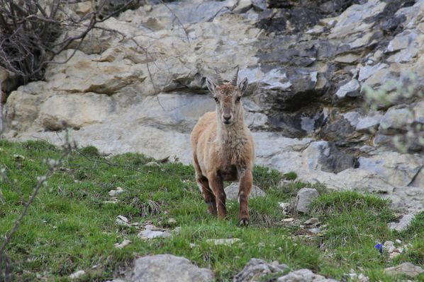 130609 Dôme du Glandasse 028