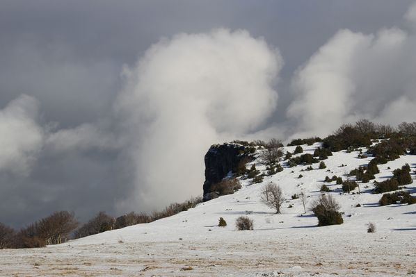 2013-12-29 Pierre Chauve 012