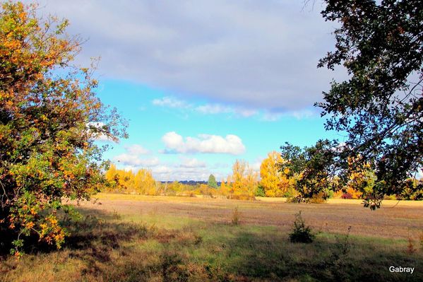 K06---Lauragais-en-automne.JPG