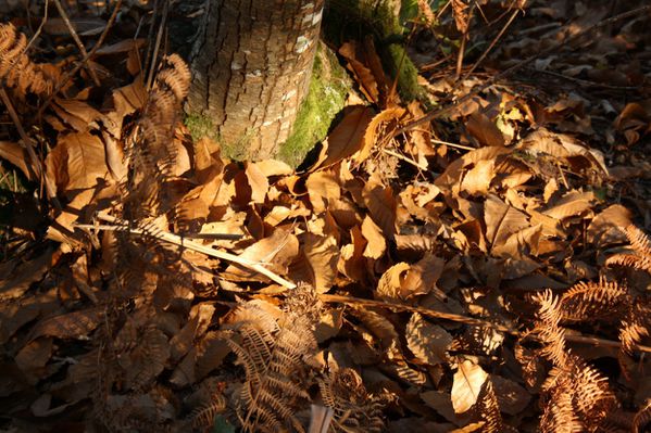 2011 10 22 217