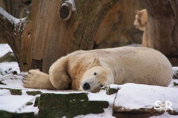 Dezember-2009 7108
