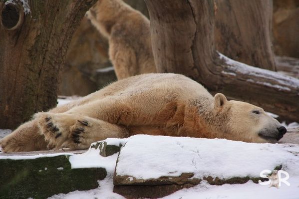 Dezember-2009 7123