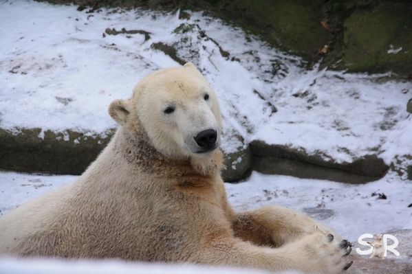 Dezember-2009 7225
