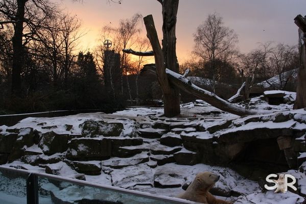 Dezember-2009 7234