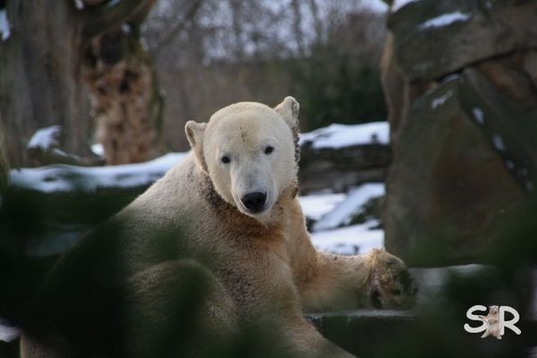 Dezember-2009 7287