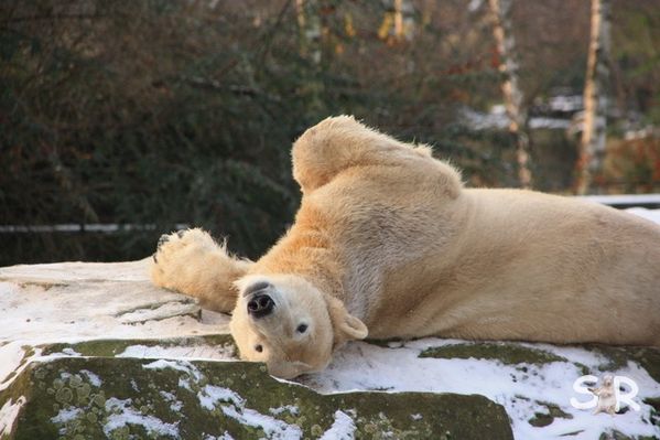 Dezember-2009 7479
