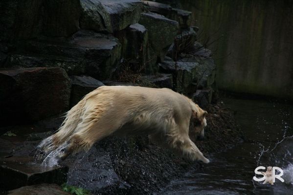 Dezember-2009 9516
