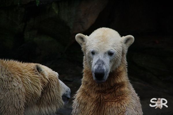 Dezember-2009 9587